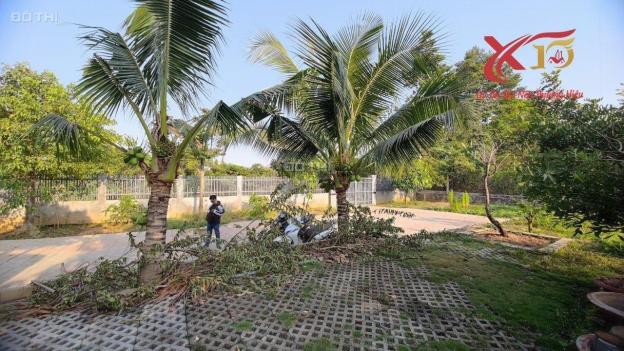 4318180 ảnh đại diện 1