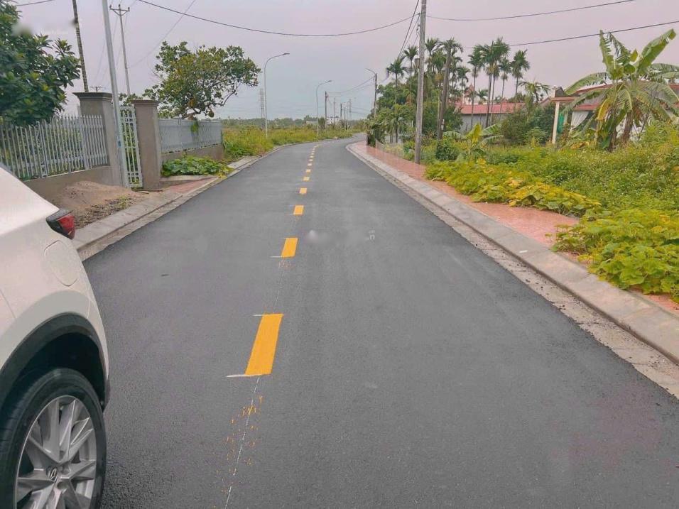 4318094 ảnh đại diện 2