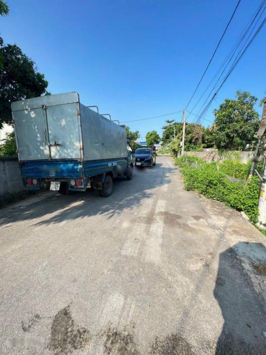 4318095 ảnh đại diện 1