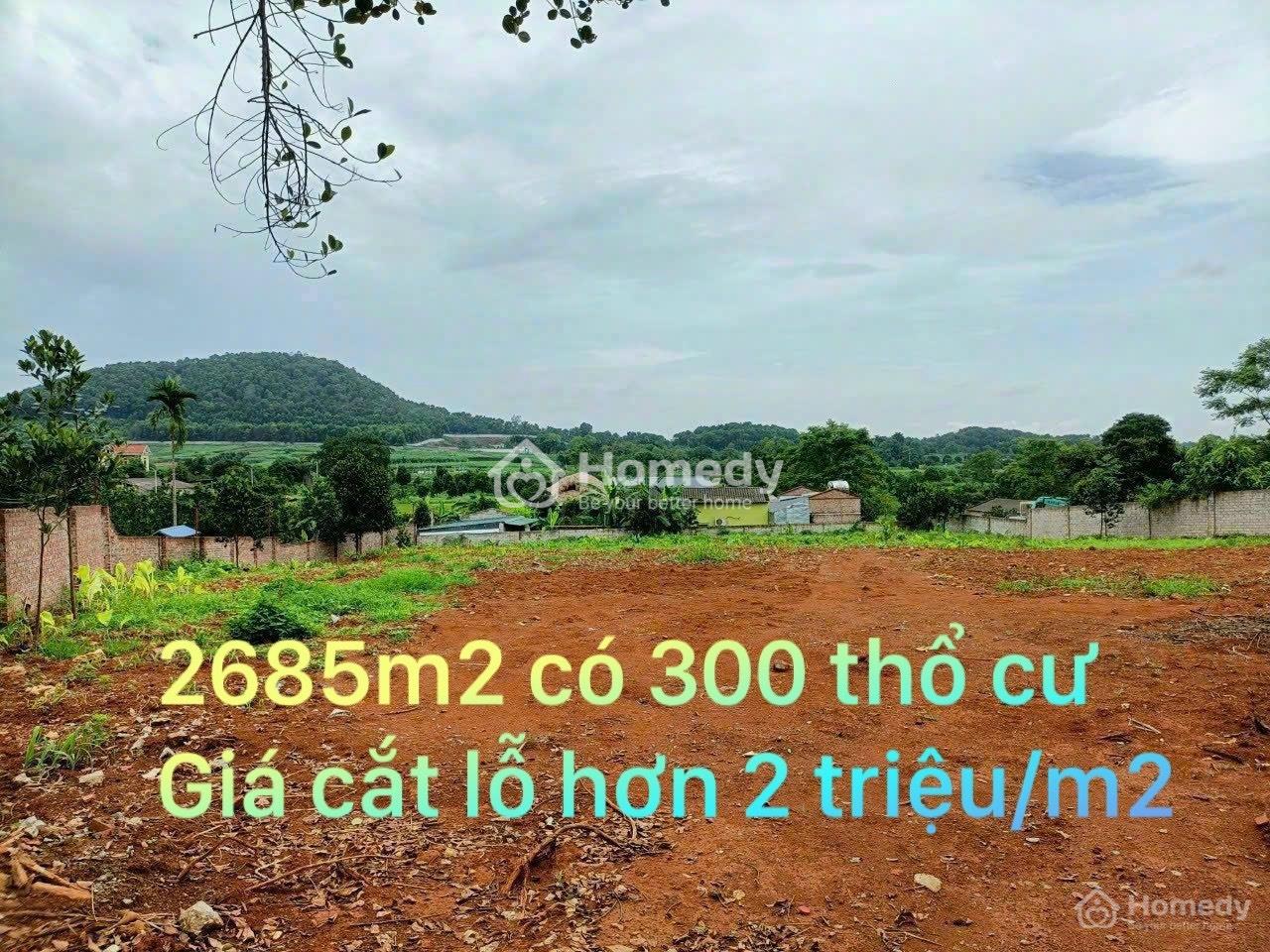 4316336 ảnh đại diện 1