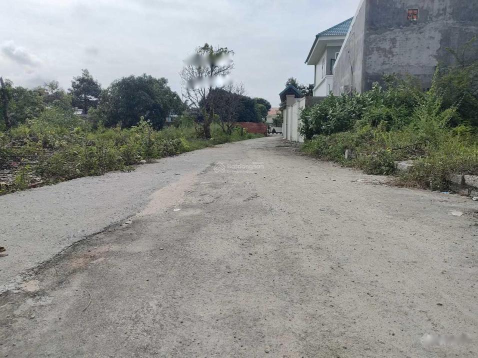 4318052 ảnh đại diện 1