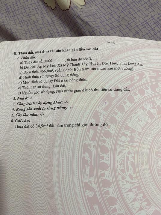 4317638 ảnh đại diện 1