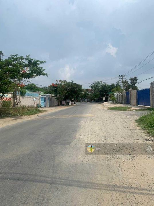 4317685 ảnh đại diện 1