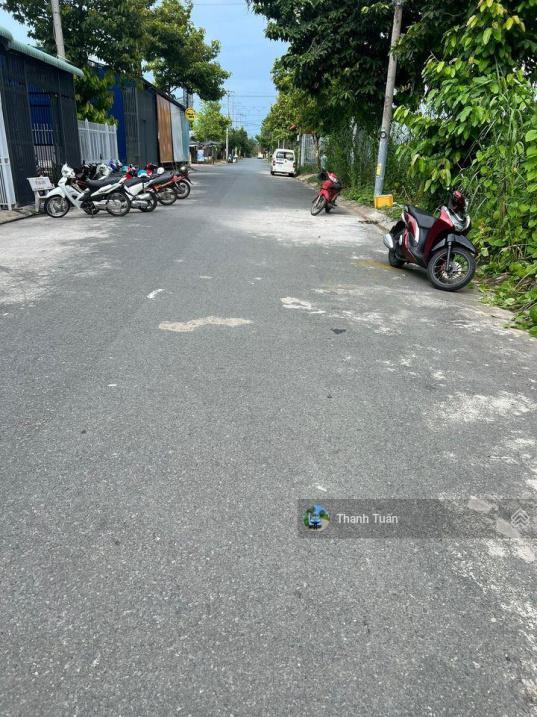 4318151 ảnh đại diện 1