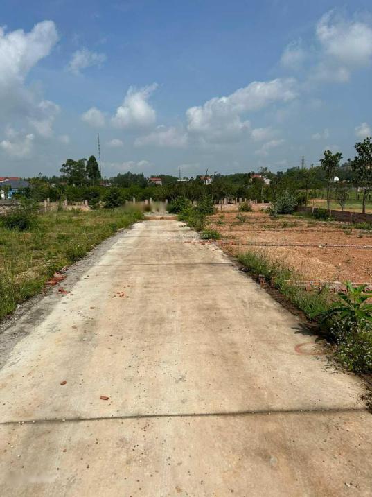 4318185 ảnh đại diện 1