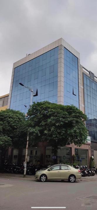 4317972 ảnh đại diện 1