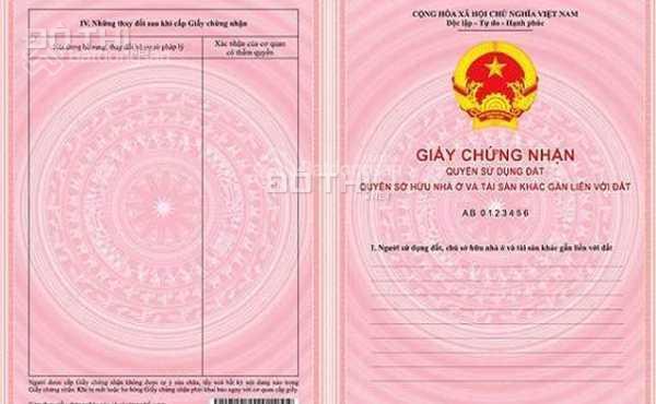 4320106 ảnh đại diện 1