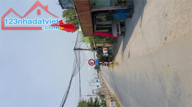 4319250 ảnh đại diện 2