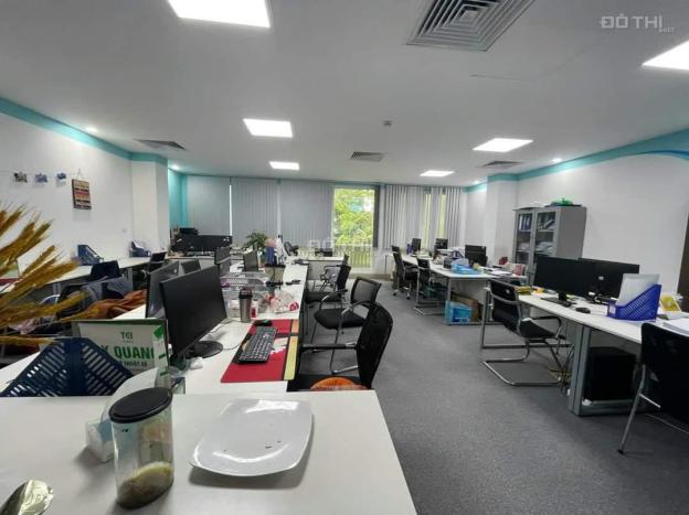 4320757 ảnh đại diện 1