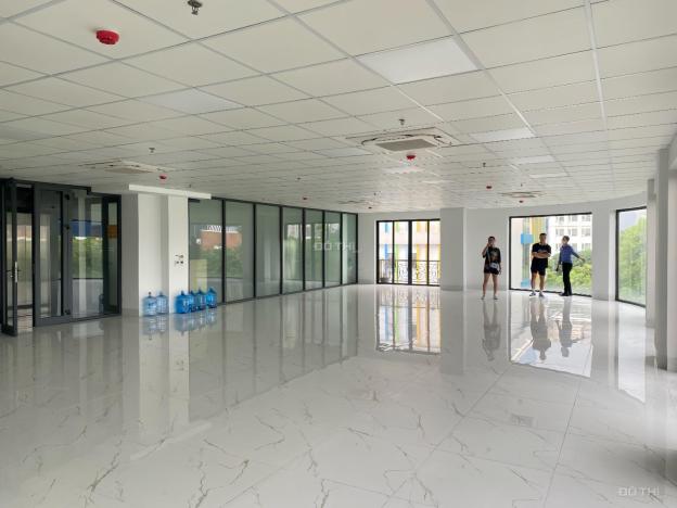 4320761 ảnh đại diện 2