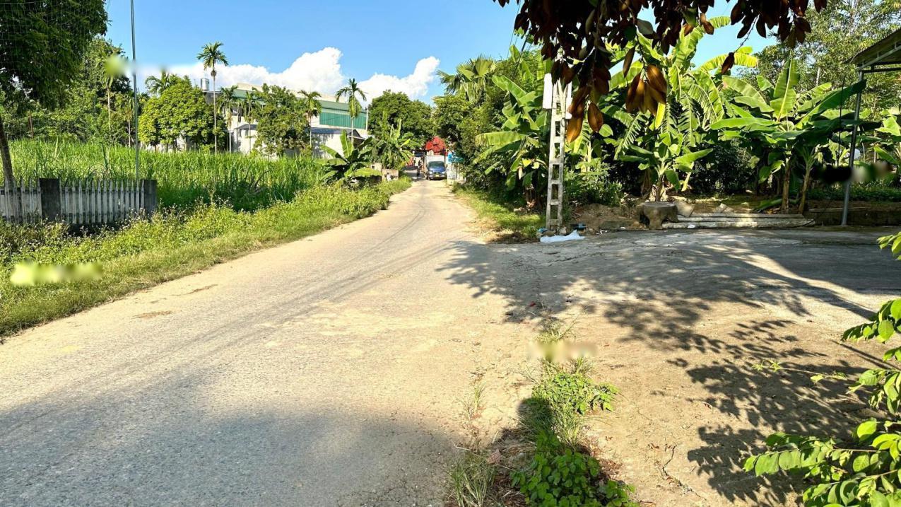 4320013 ảnh đại diện 1