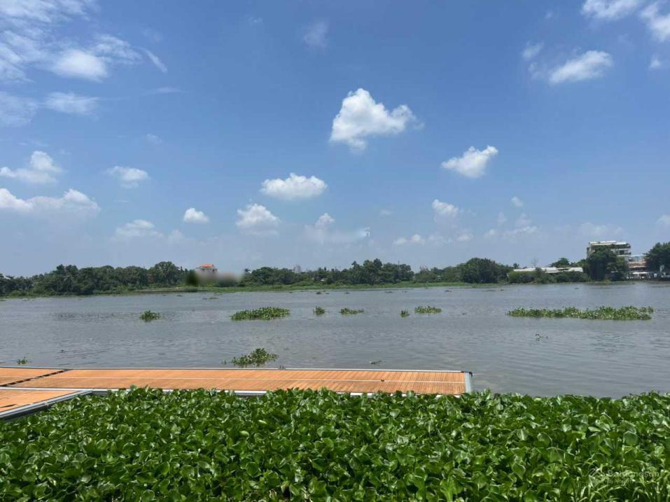 4320774 ảnh đại diện 1