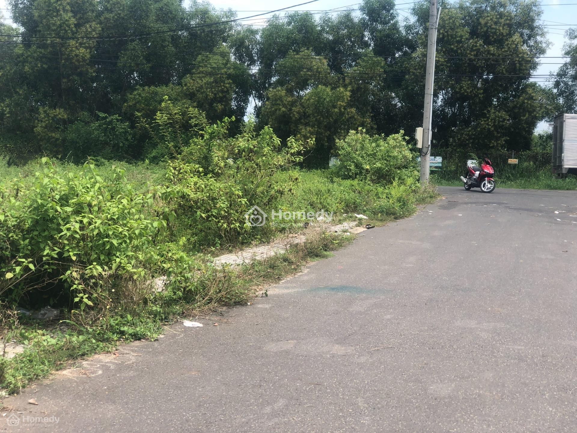 4320681 ảnh đại diện 2