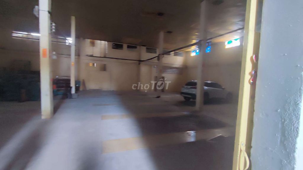 4320591 ảnh đại diện 1