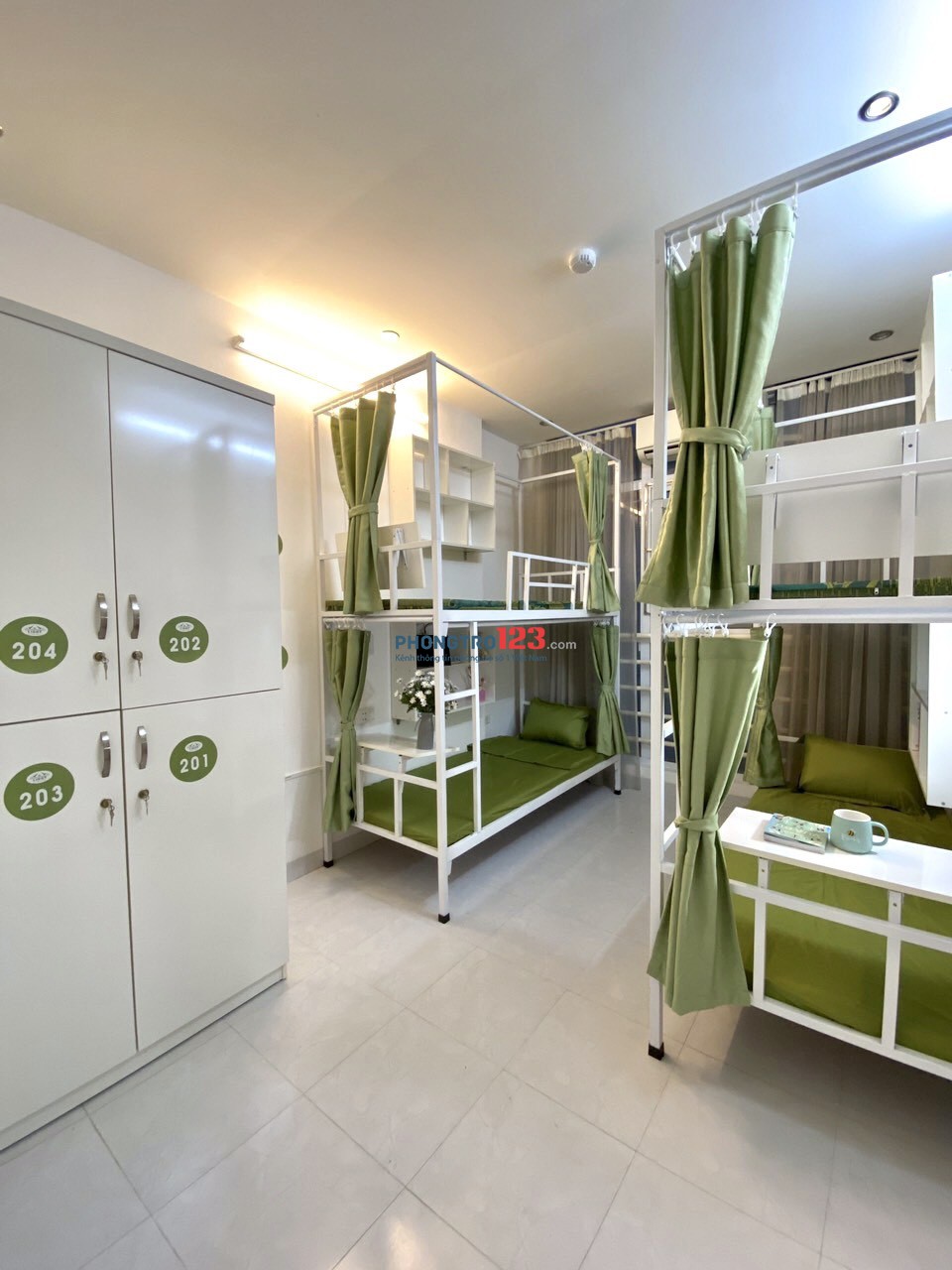 4319877 ảnh đại diện 1