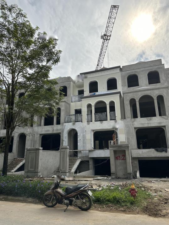 4320752 ảnh đại diện 1