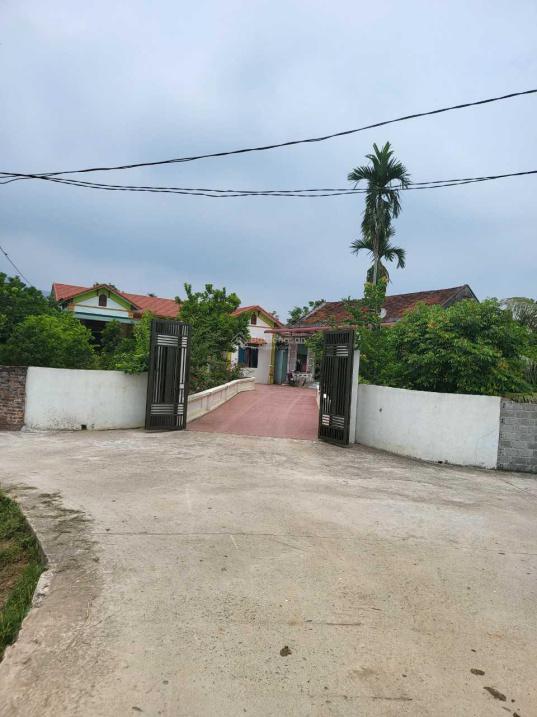 4320047 ảnh đại diện 1