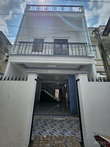 4319843 ảnh đại diện 1