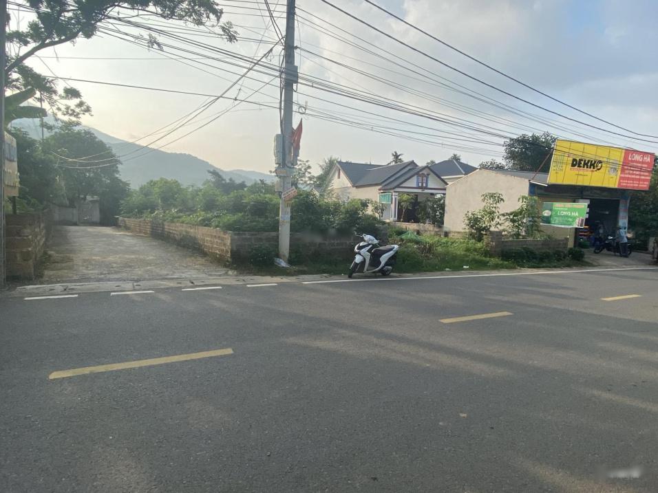4320471 ảnh đại diện 2