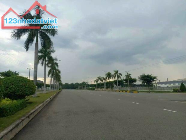 4319225 ảnh đại diện 1