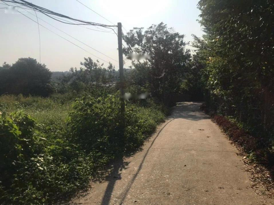 4320479 ảnh đại diện 1