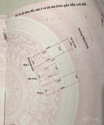 4319534 ảnh đại diện 1