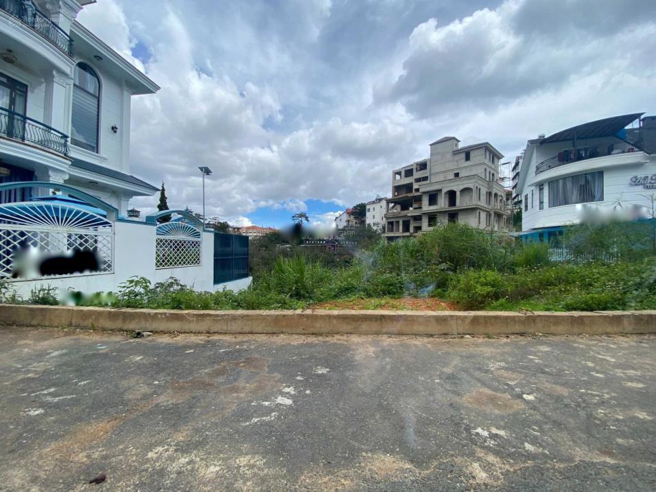 4320293 ảnh đại diện 1