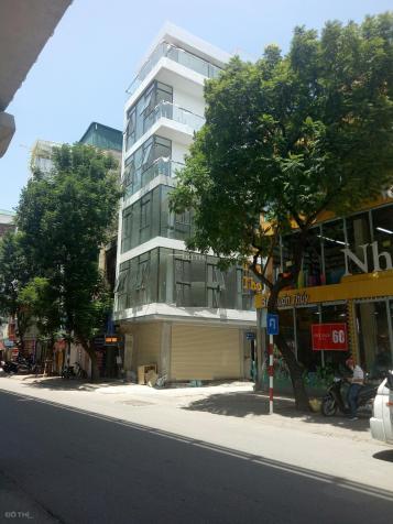 4319848 ảnh đại diện 1