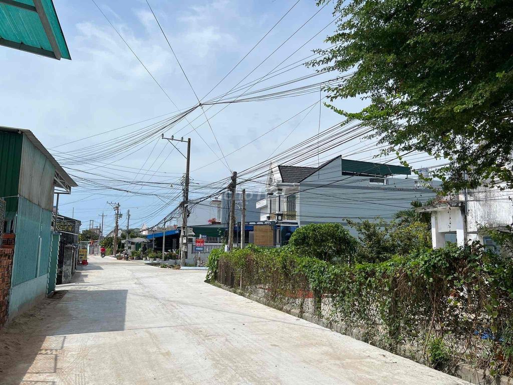 4318910 ảnh đại diện 1
