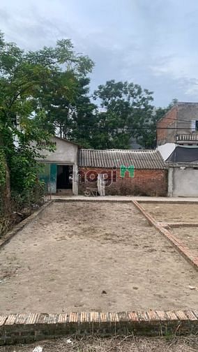 4319461 ảnh đại diện 1