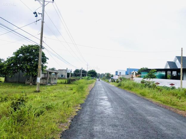 4320870 ảnh đại diện 2