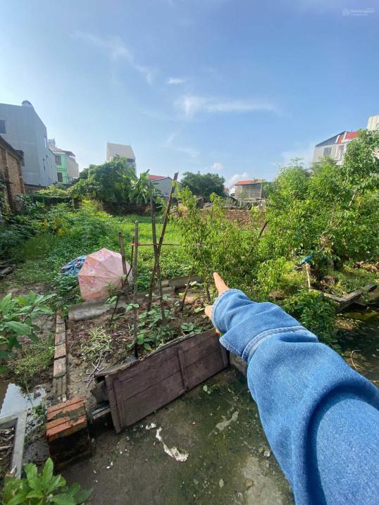 4320240 ảnh đại diện 2
