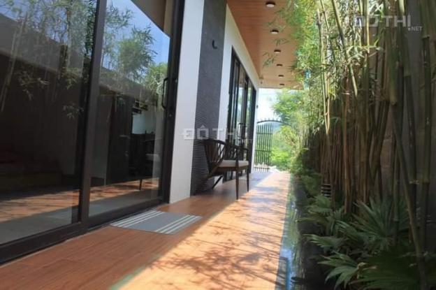 4320021 ảnh đại diện 1