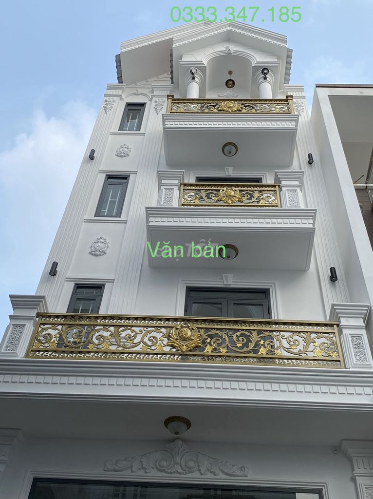 4319001 ảnh đại diện 2