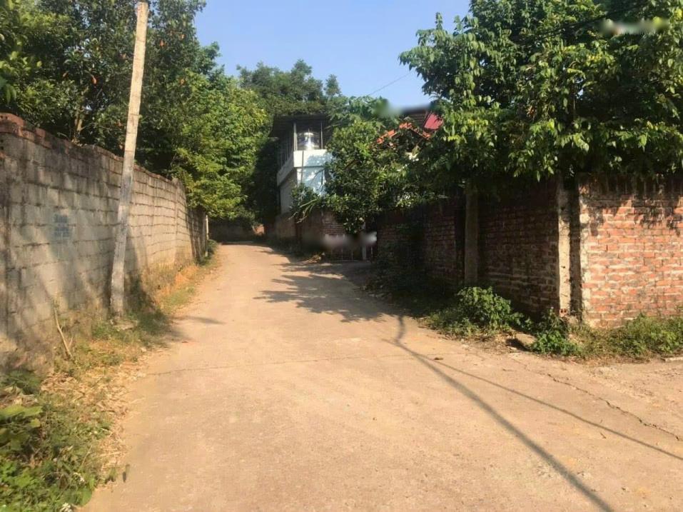 4320479 ảnh đại diện 2