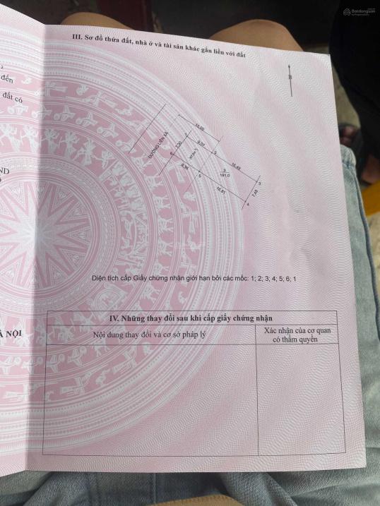 4320476 ảnh đại diện 1