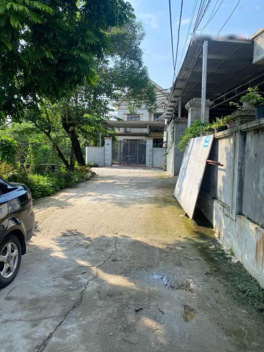 4320240 ảnh đại diện 1