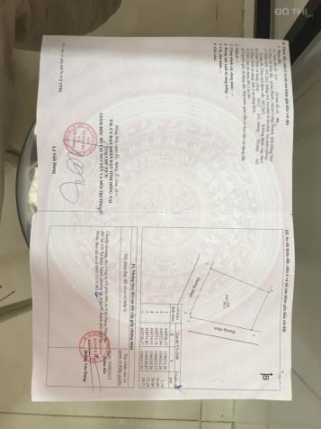 4320869 ảnh đại diện 1