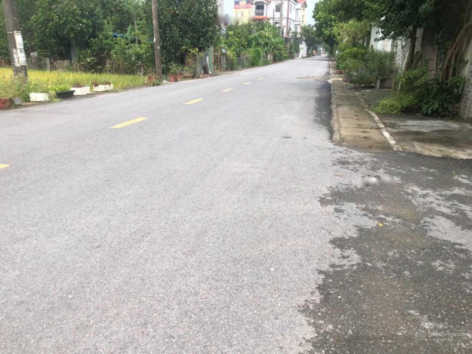 4320408 ảnh đại diện 2
