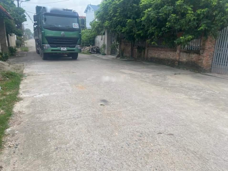 4320413 ảnh đại diện 1
