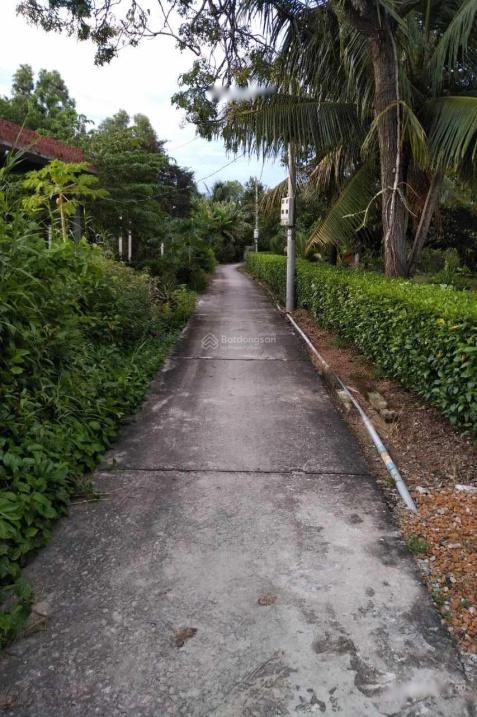 4320271 ảnh đại diện 1