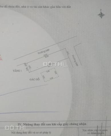4319617 ảnh đại diện 2