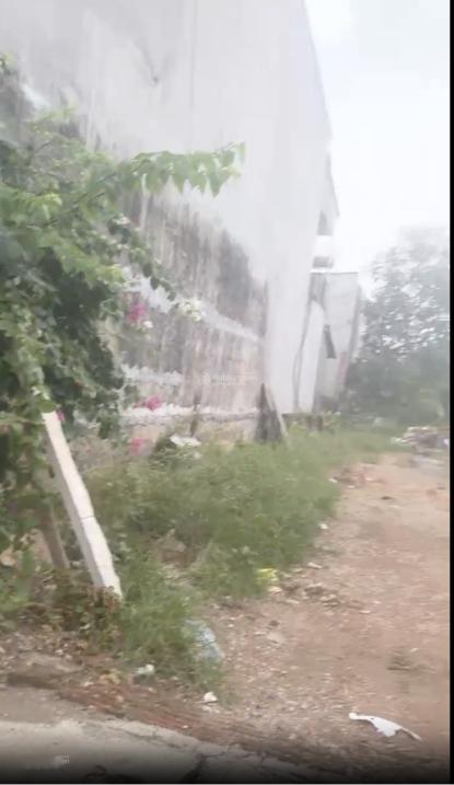 4320476 ảnh đại diện 2