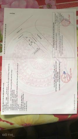 4320867 ảnh đại diện 2