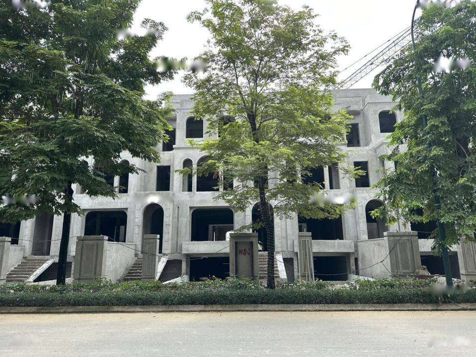 4320752 ảnh đại diện 2