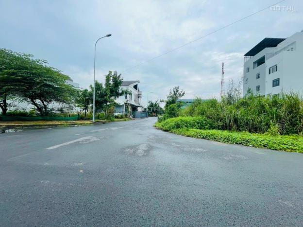 4320867 ảnh đại diện 1