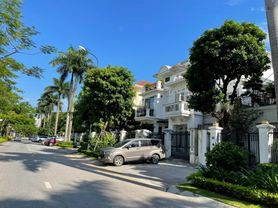 4320724 ảnh đại diện 2