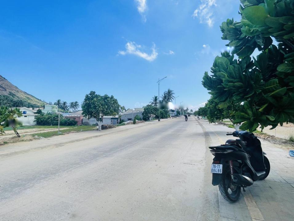 4320628 ảnh đại diện 2
