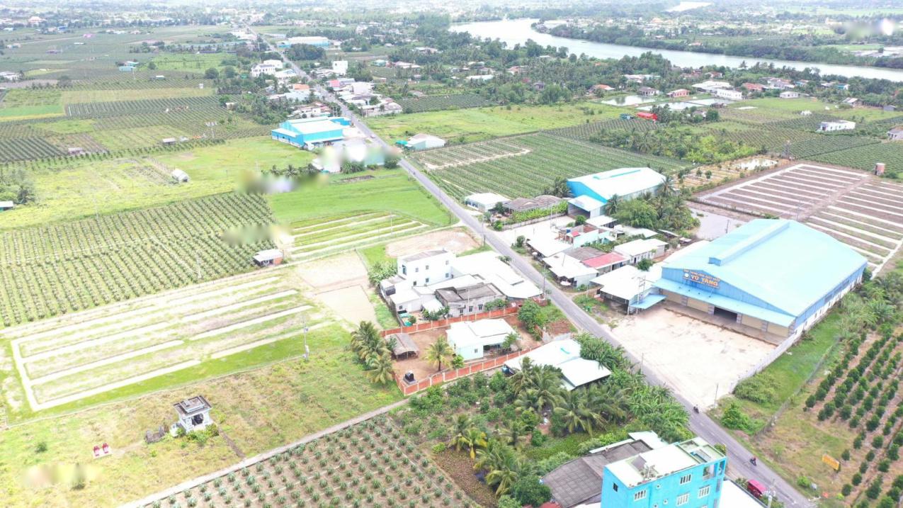 4320272 ảnh đại diện 1