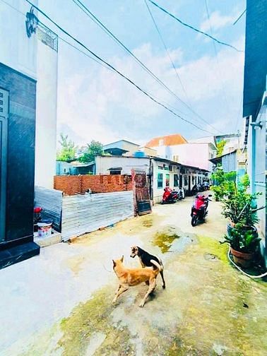 4319987 ảnh đại diện 1